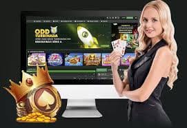 555bet